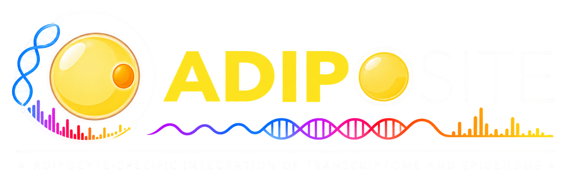 ADIPOSITE